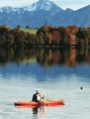 Helmut Schorer