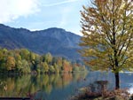 131020_MTB-Jochberg-01.jpg