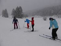 Franziska, Damir, Carmen, Martina